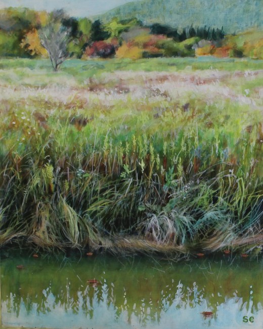 water and grasses resized